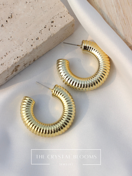JEarrings everyday wear earrings-240-CL-OM