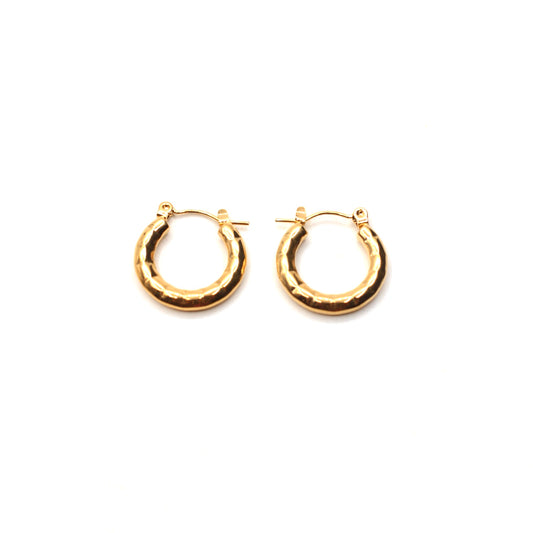 JEarrings-(24K Gold Plated)-AntiTarnish/HypoAllergic - 176