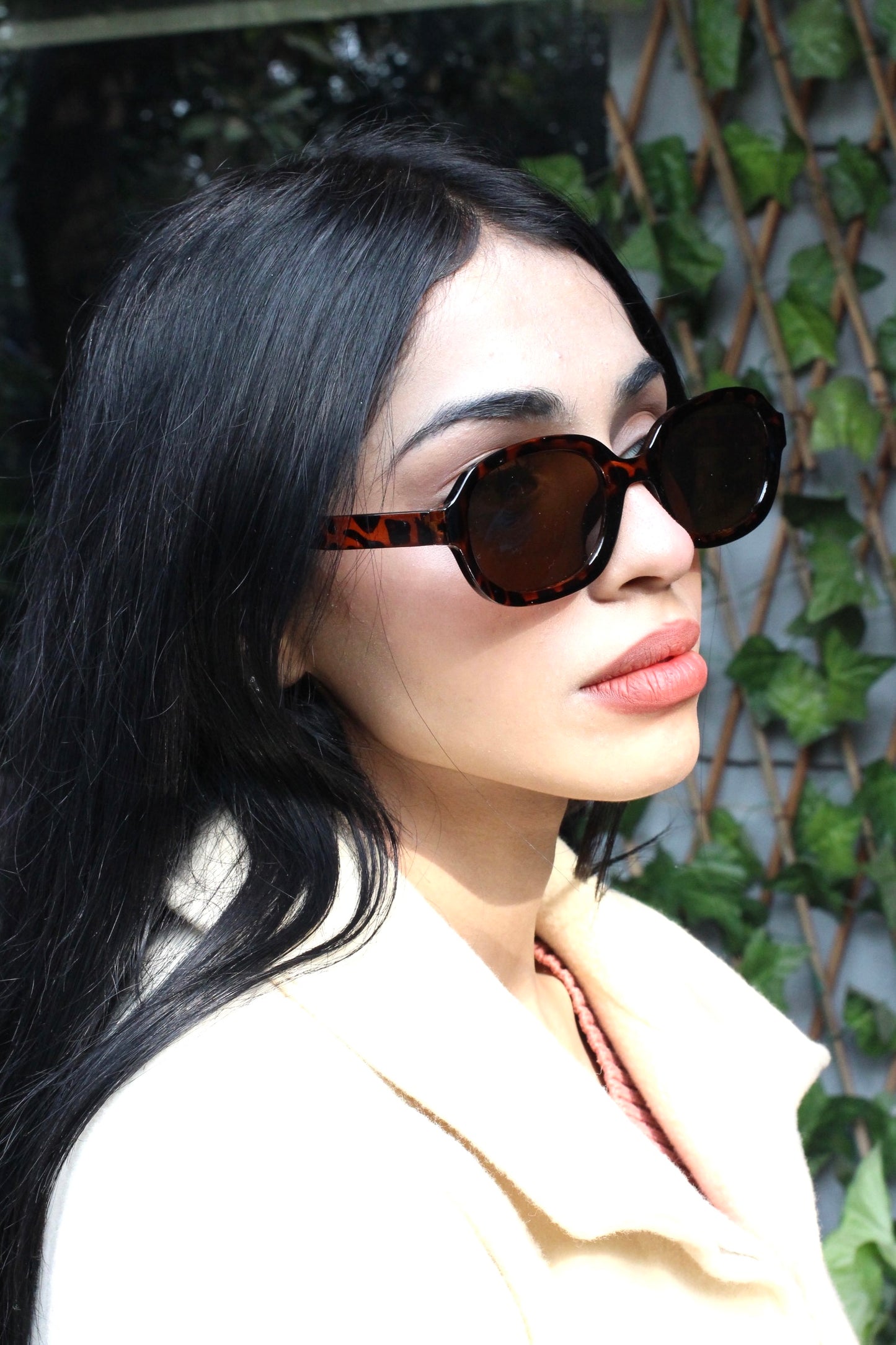 Sunglasses-08A-CL