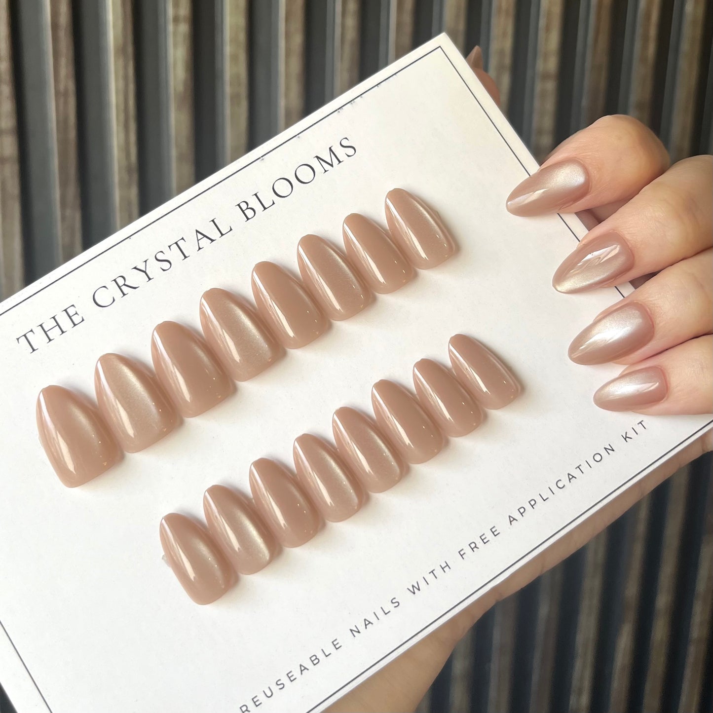 [PREMIUM] Nails-26MYS- Cateye 3D Almond nails- Free 24pc Sticker Sheet included