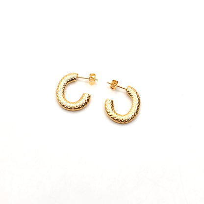 JEarrings-(4K Gold Plated)-AntiTarnish/HypoAllergic 168