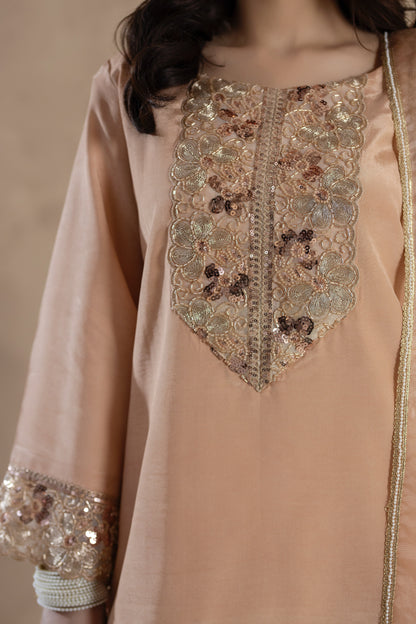 Riwa- 3 PC Stitched Festive Pret