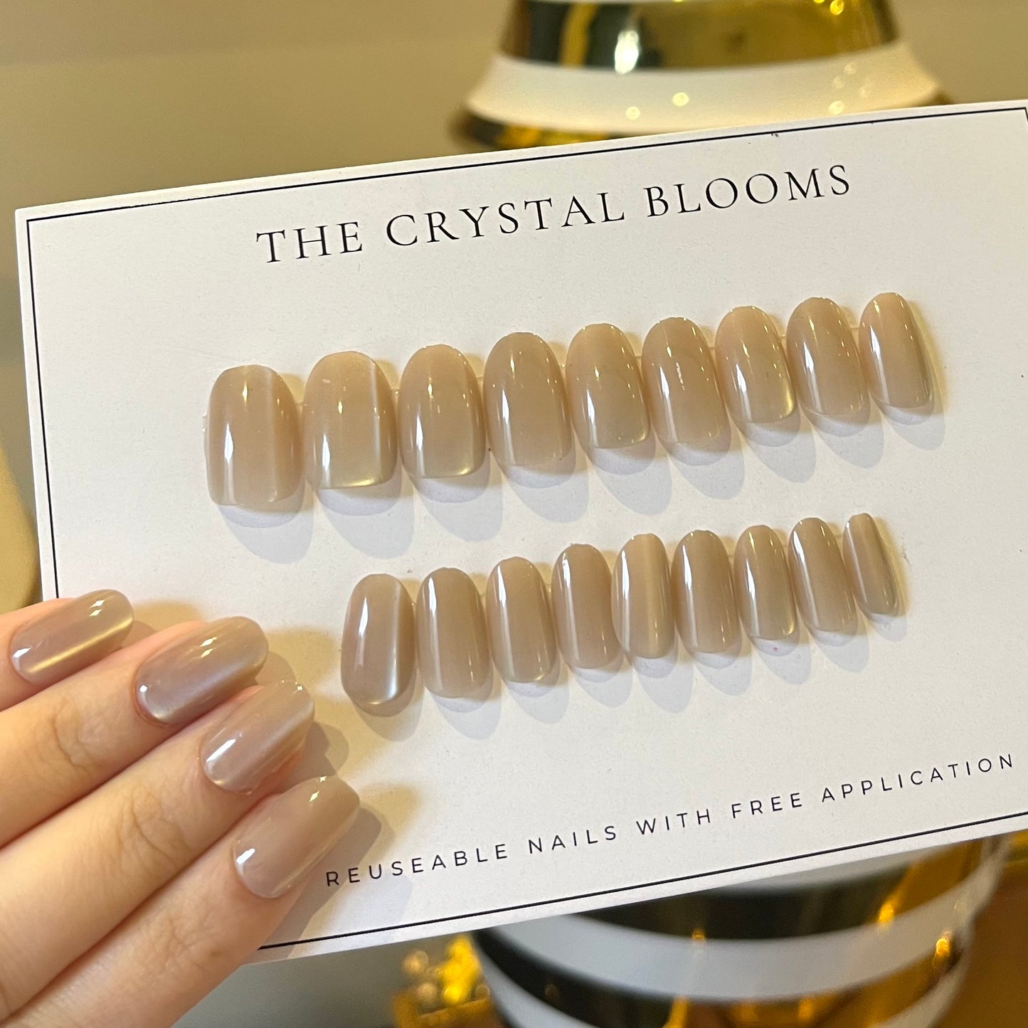 [PREMIUM] Handmade Cat-eye Reflective Nails-842- Free 24 pc Sticker Sheet  included