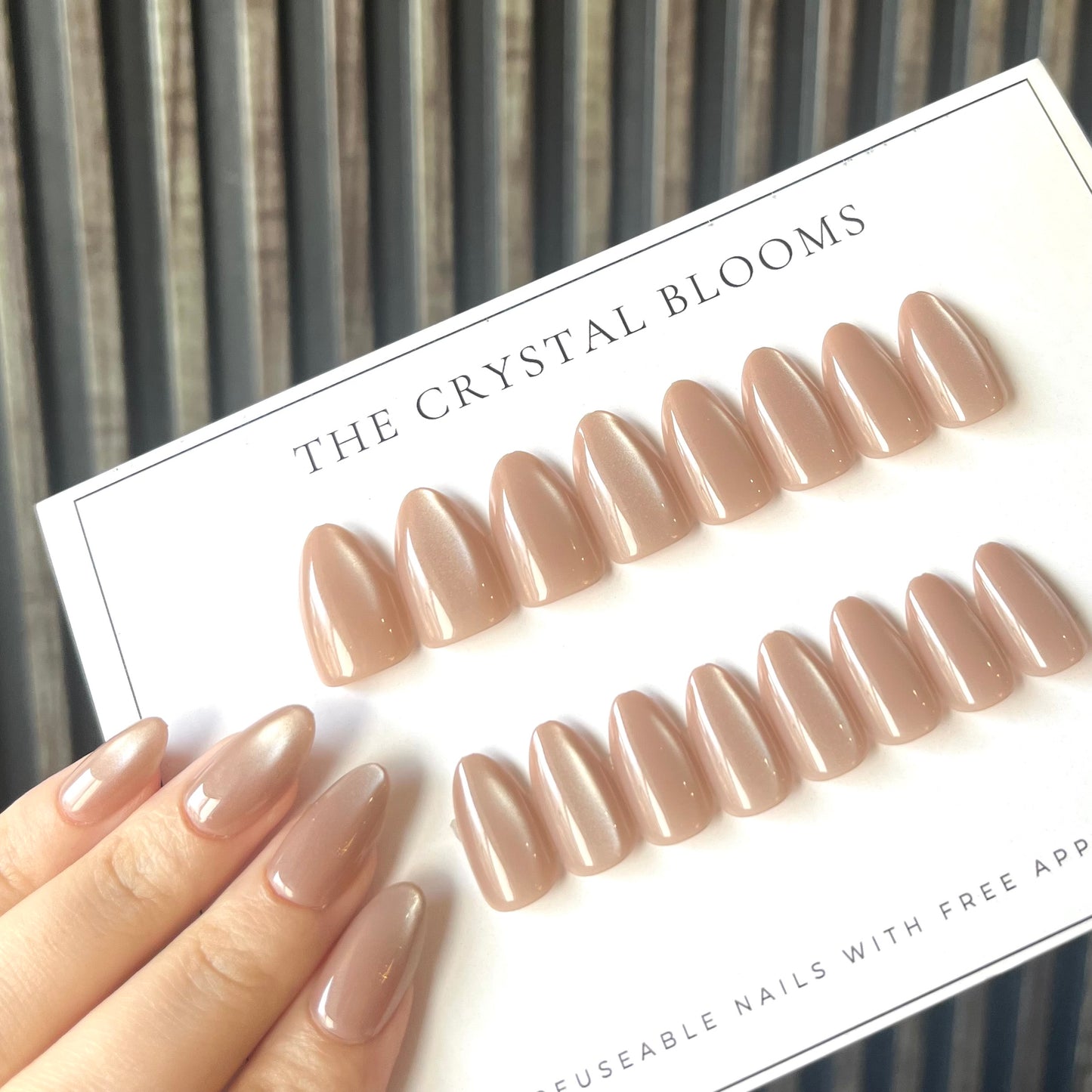 [PREMIUM] Nails-26MYS- Cateye 3D Almond nails- Free 24pc Sticker Sheet included