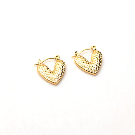 JEarrings-(4K Gold Plated)-AntiTarnish/HypoAllergic 175