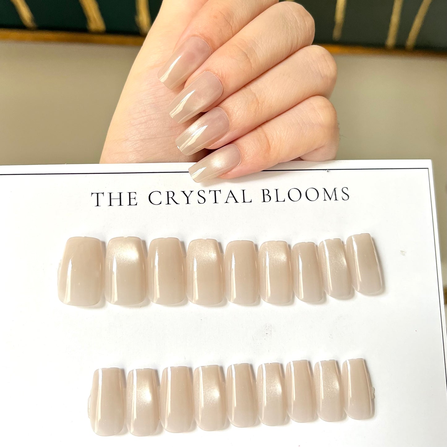 [PREMIUM] Handmade Cat-eye Reflective Nails-814- Free 24 pc Sticker Sheet  included