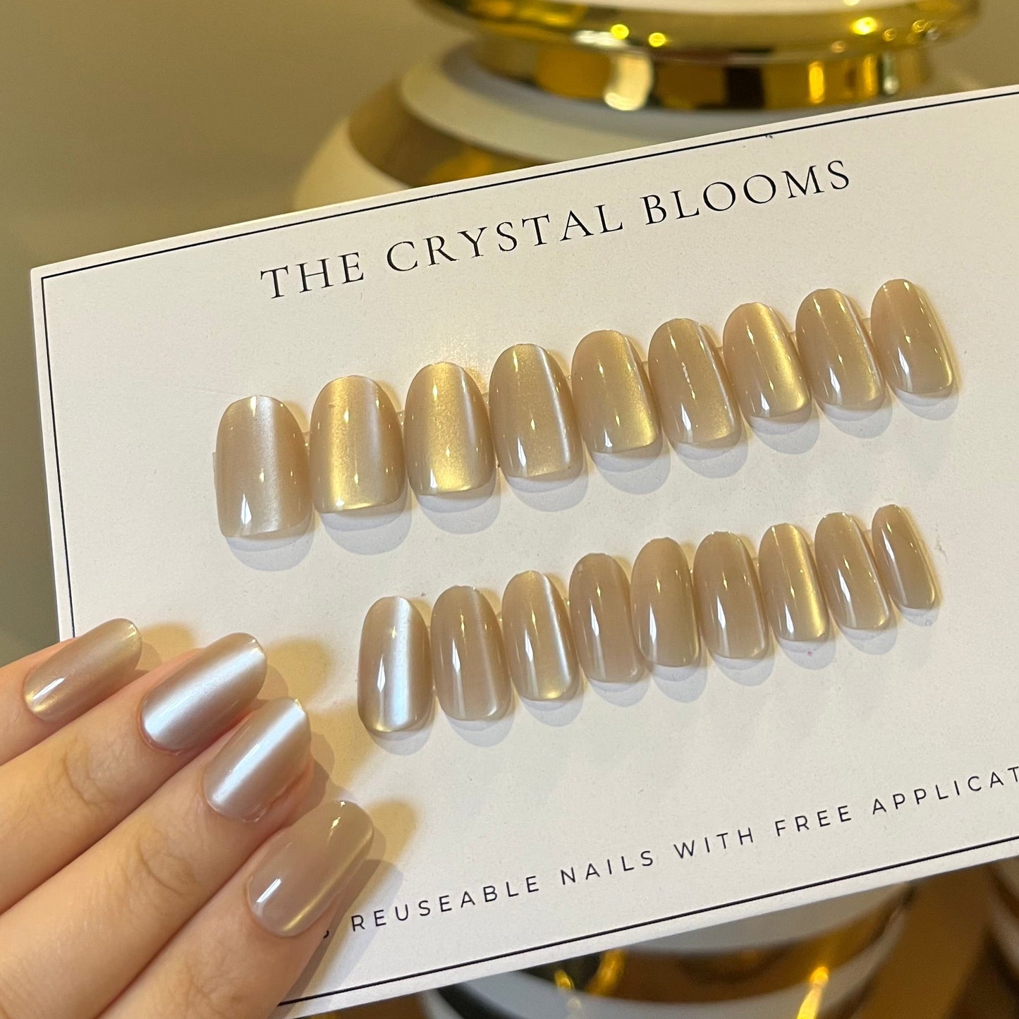 [PREMIUM] Handmade Cat-eye Reflective Nails-842- Free 24 pc Sticker Sheet  included