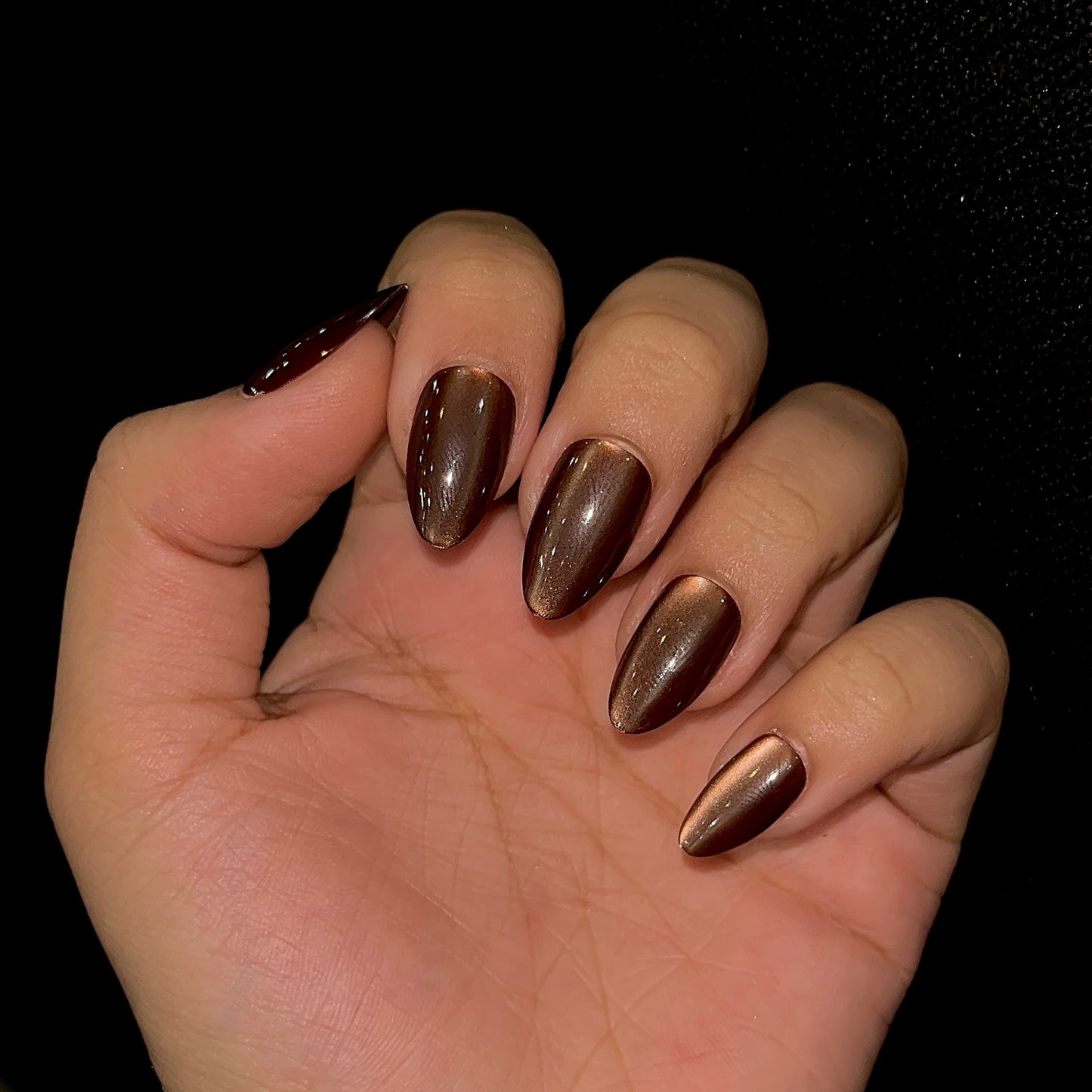 [PREMIUM] Handmade Cat-eye Reflective Nails-813- Free 24 pc Sticker Sheet  included