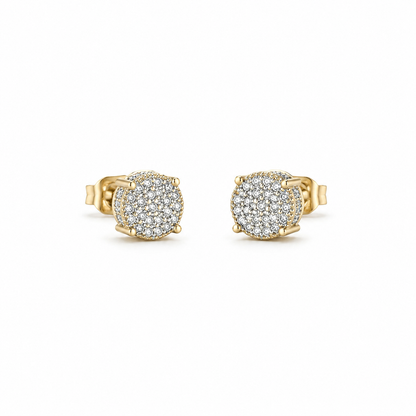 Crystal Glow stud Earrings (N201)