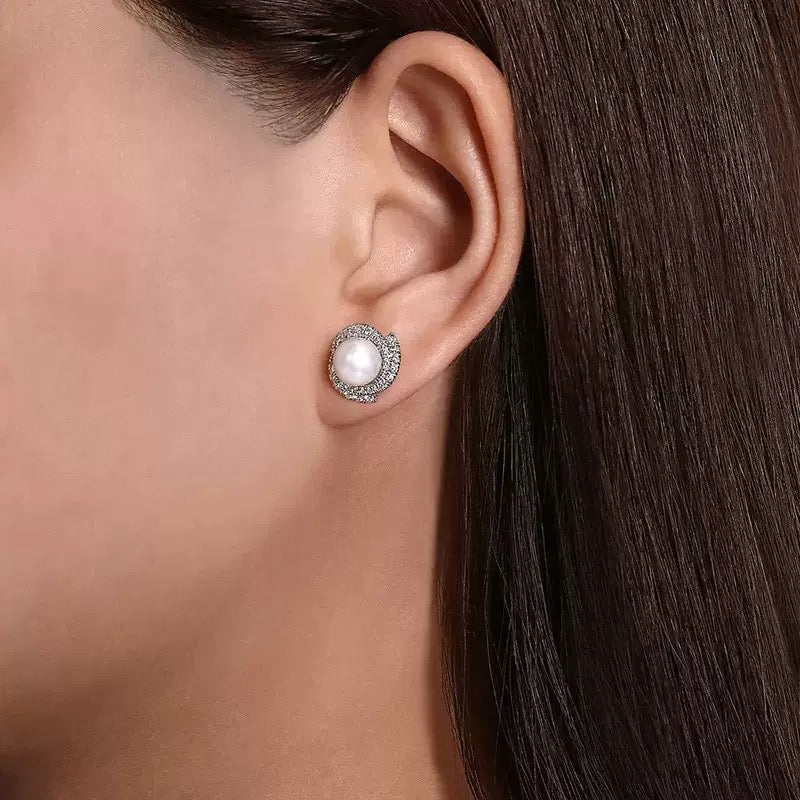Luxe Shine Stud Earrings (N202)