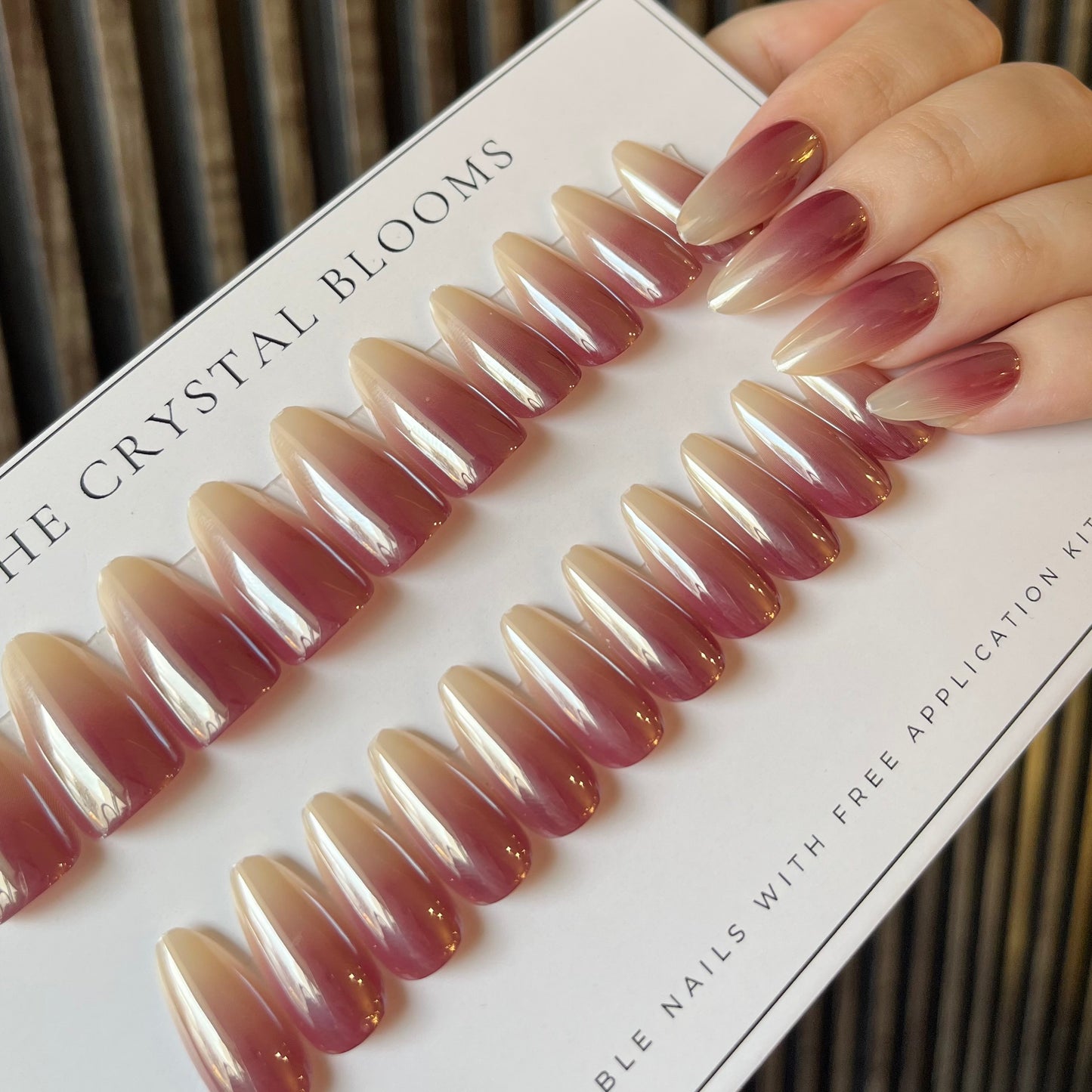 Nails-847-Gradient Ombre nails- Free 24pc Sticker Sheet included