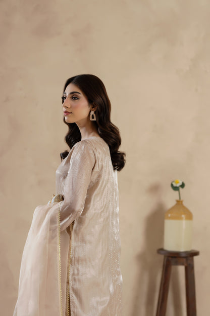 Naqsh-3 PC Stitched Festive Pret