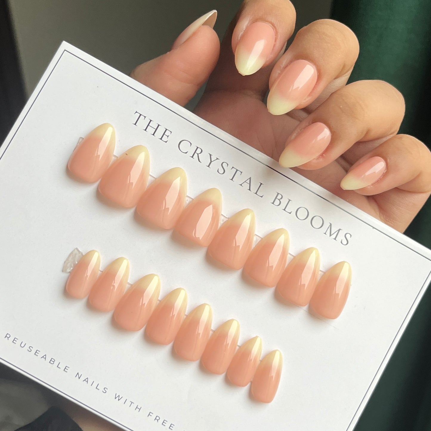 Nails-3134T- Hyper realistic nails- Free 24pc Sticker Sheet included