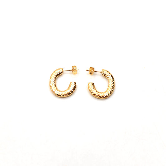 JEarrings-(4K Gold Plated)-AntiTarnish/HypoAllergic 168