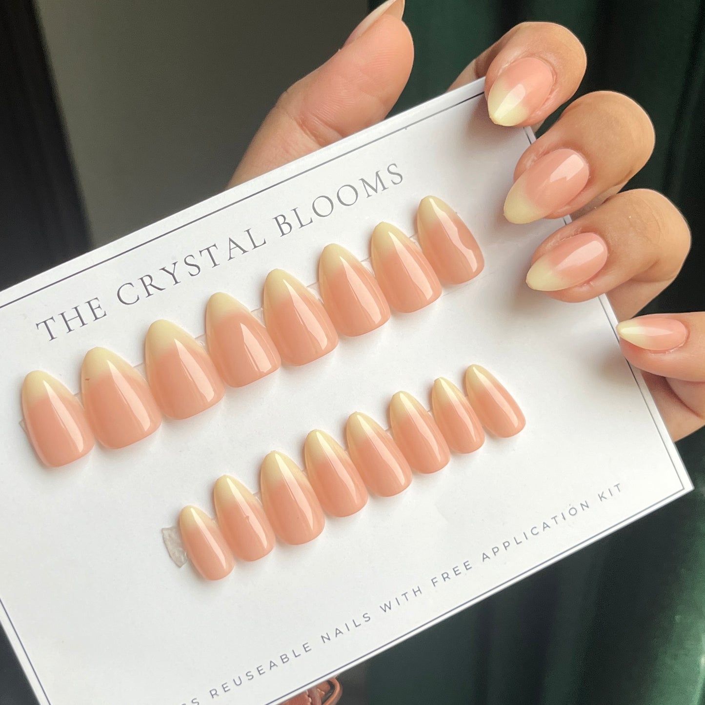 HYPER REALISTIC VIRAL Nails-2126-Almond nails- Free 24pc Sticker Sheet included
