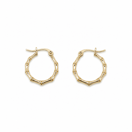 Serene Gold Stud Earrings (N256)