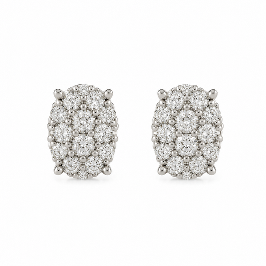 Elara Luxe Stud Earrings (N237)