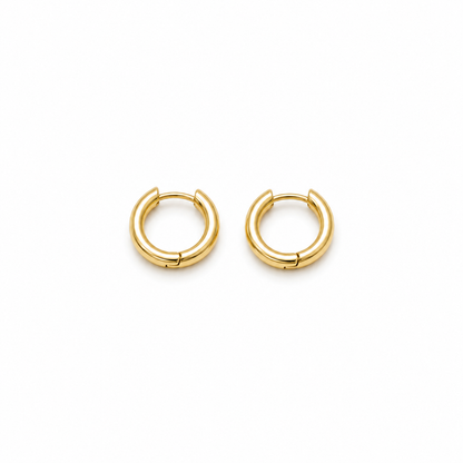 Royal Spark Zircon Stud Earrings (N207)- Size 13mm