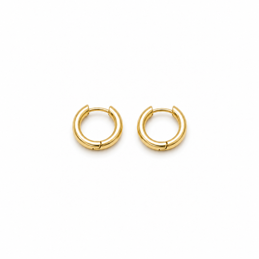 Royal Spark Zircon Stud Earrings (N207)