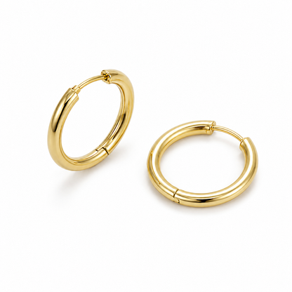 Opulent Shine Stud Earrings (N208) - Size: 21 mm