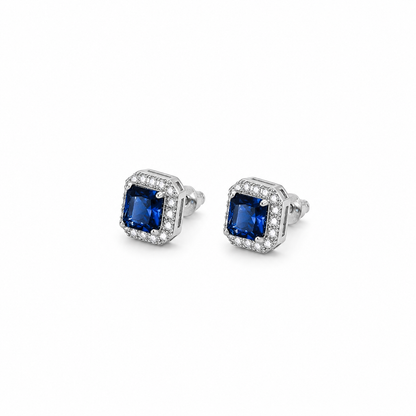 Elegant Zircon Stud Earrings (N203)