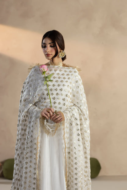 Ayra-3 PC Stitched Festive Pret