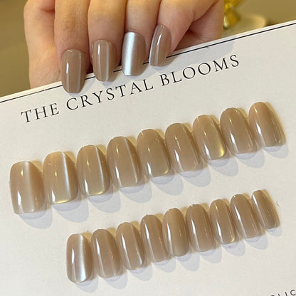 [PREMIUM] Handmade Cat-eye Reflective Nails-842- Free 24 pc Sticker Sheet  included
