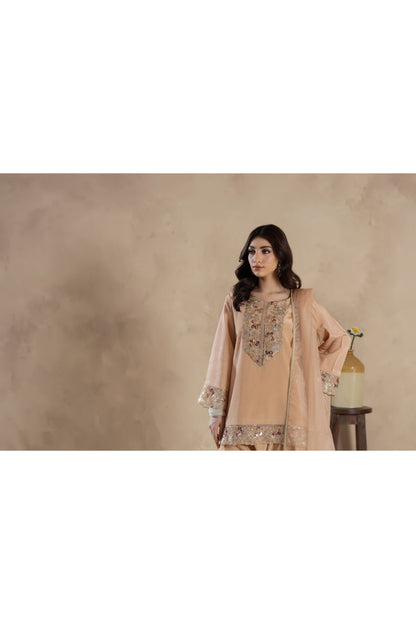 Riwa- 3 PC Stitched Festive Pret