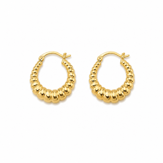 Golden Grace Stud Earrings (N251)