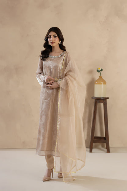 Naqsh-3 PC Stitched Festive Pret