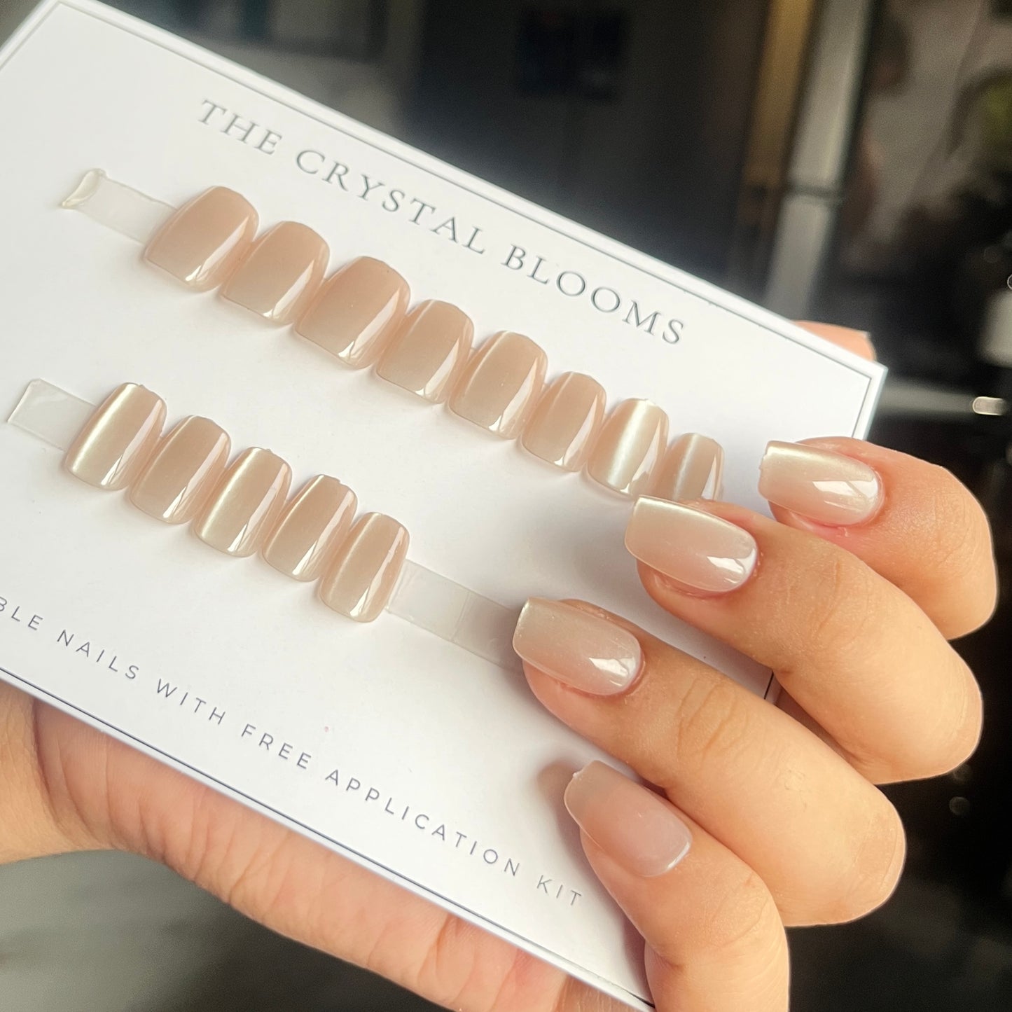 [PREMIUM] Handmade Cat-eye Reflective Nails-816- Free 24 pc Sticker Sheet  included