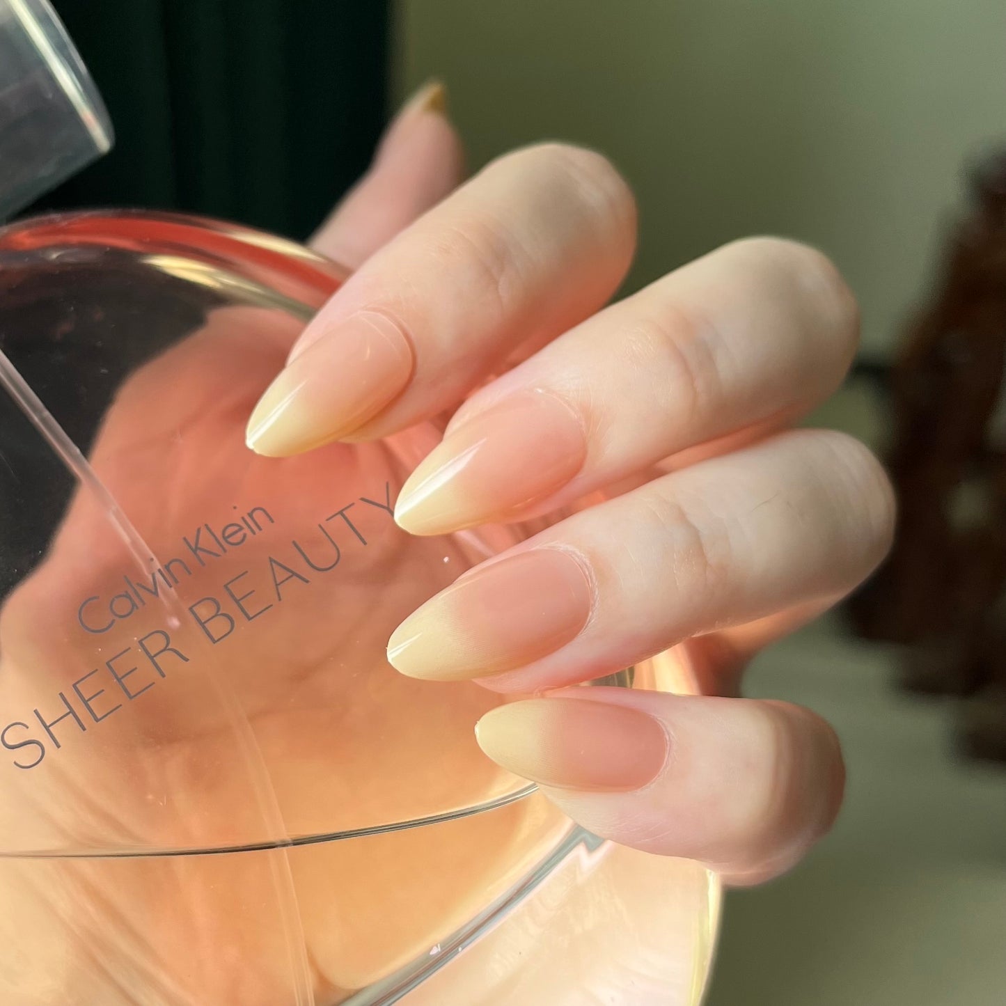 HYPER REALISITIC FRENCH Nails-111-Free 24pc Sticker Sheet included