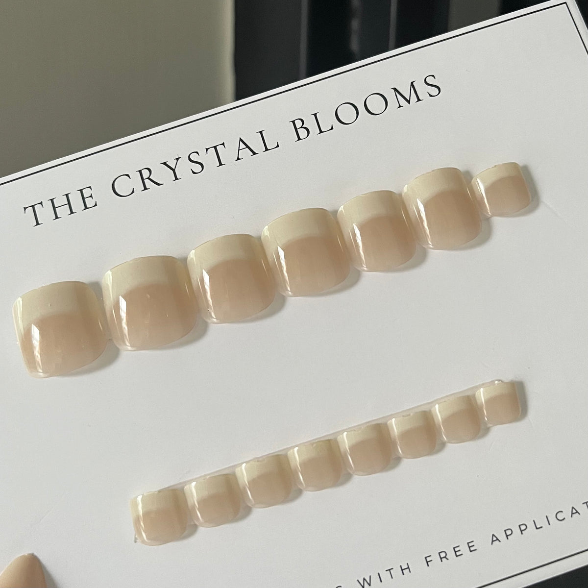 Hyper Realistic Toe Nails-0178T-Free 24pc Sticker Sheet included