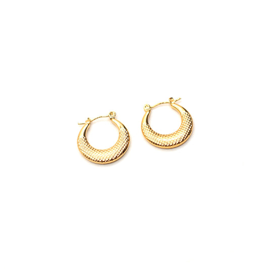 JEarrings-(4K Gold Plated)-AntiTarnish/HypoAllergic 172