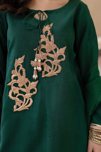 Aveen- 3-Pc Stitched Festive Pret
