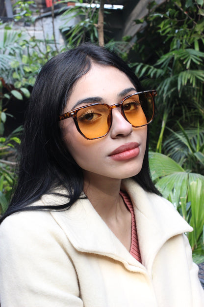 Sunglasses-22A-CL