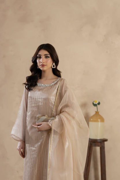 Naqsh-3 PC Stitched Festive Pret