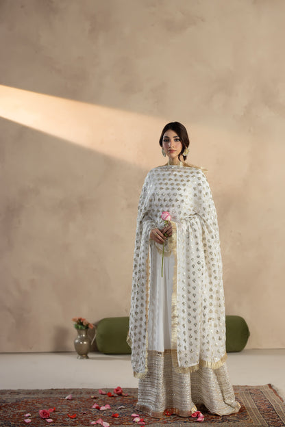 Ayra-3 PC Stitched Festive Pret
