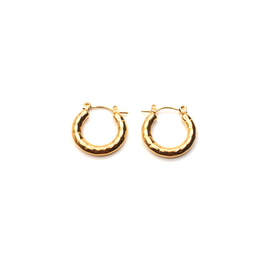 JEarrings-(4K Gold Plated)-AntiTarnish/HypoAllergic 176