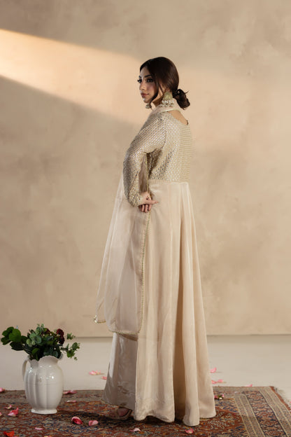 Zavia-3 PC Stitched Festive Pret