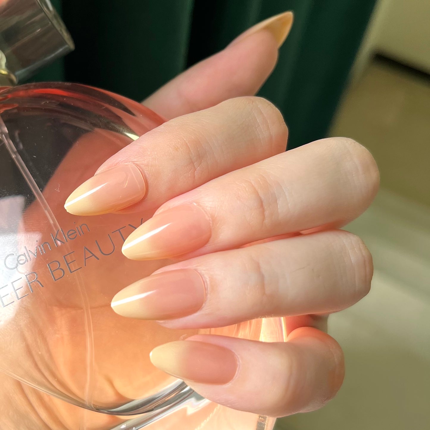 HYPER REALISITIC FRENCH Nails-111-Free 24pc Sticker Sheet included