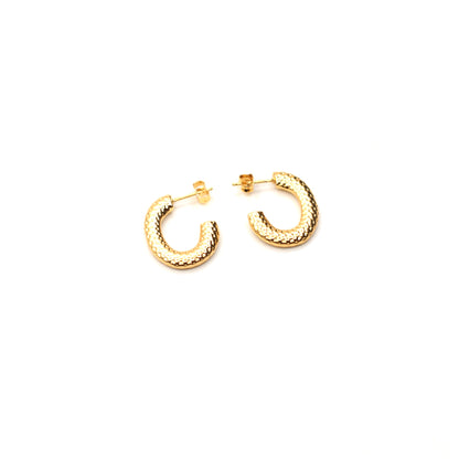 JEarrings-(4K Gold Plated)-AntiTarnish/HypoAllergic 168