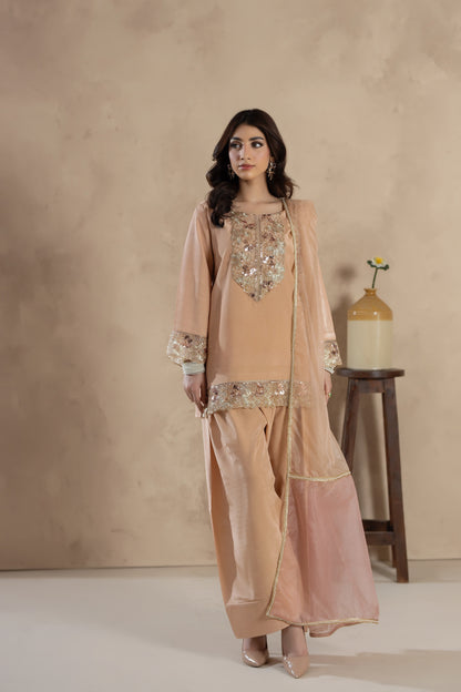 Riwa- 3 PC Stitched Festive Pret