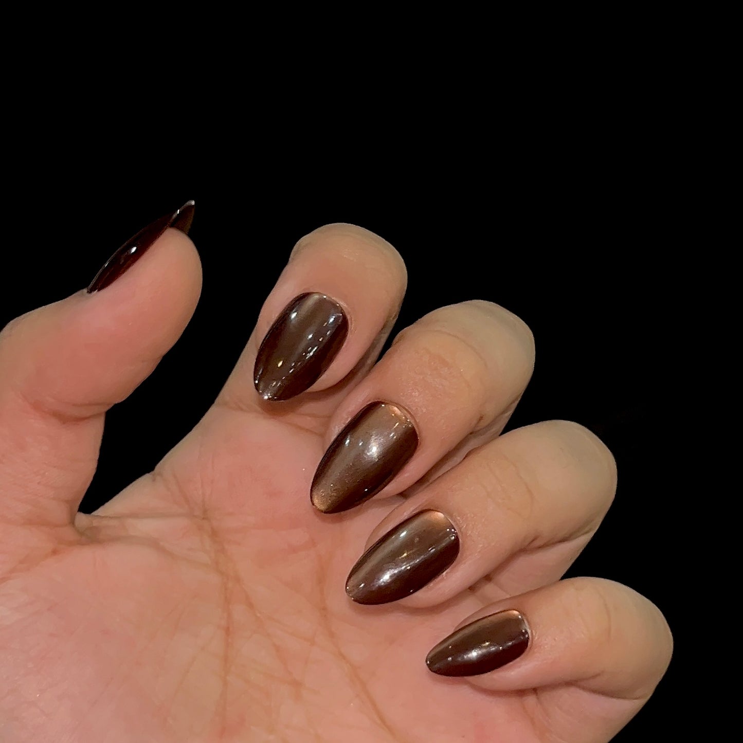 [PREMIUM] Handmade Cat-eye Reflective Nails-813- Free 24 pc Sticker Sheet  included