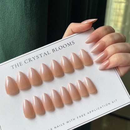 Nails-845- Ombre ONude nails- Free 24pc Sticker Sheet included