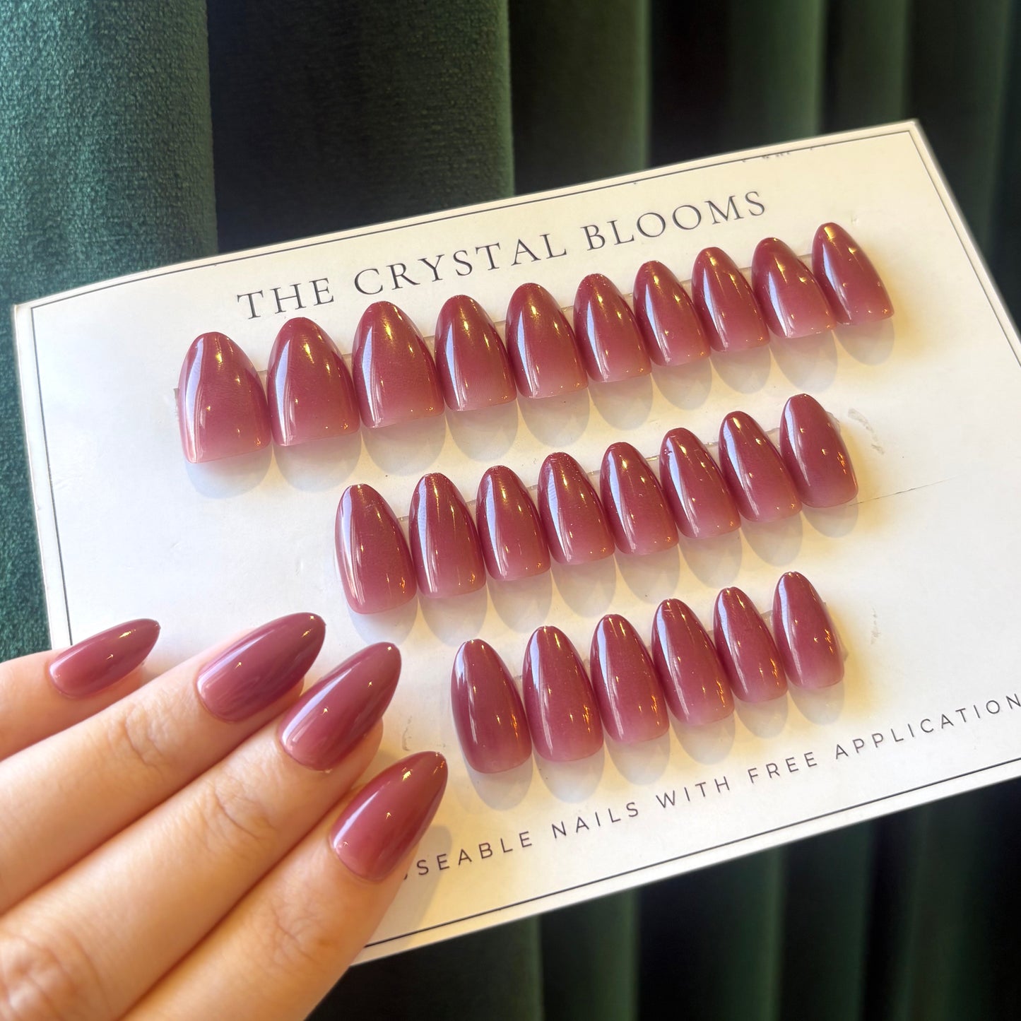 Plum Ombre Nails-880- Free 24 pc Sticker Sheet  included-n